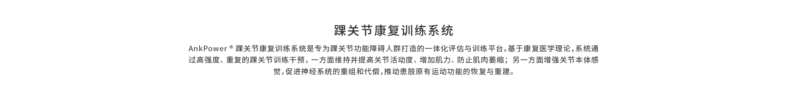 官网-产品-AP2.png